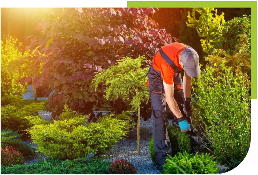 Gardener wearing an orange uniform